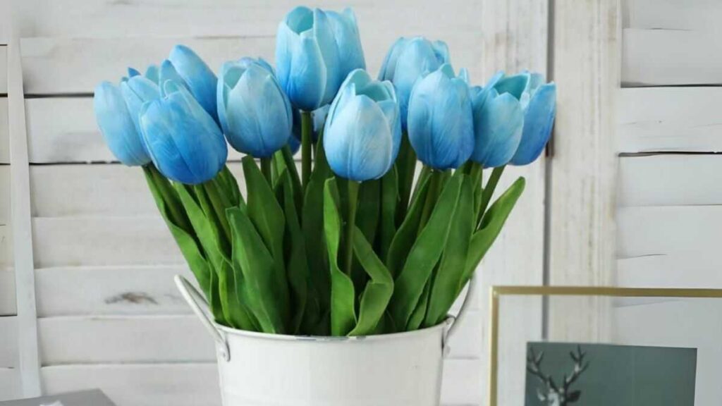 hoa tulip xanh dep