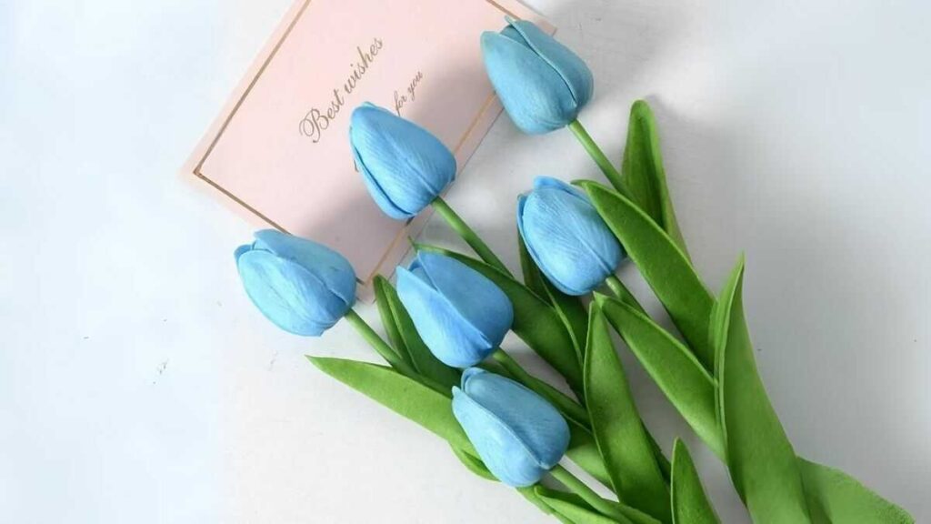 hoa tulip xanh duong co y nghia gi