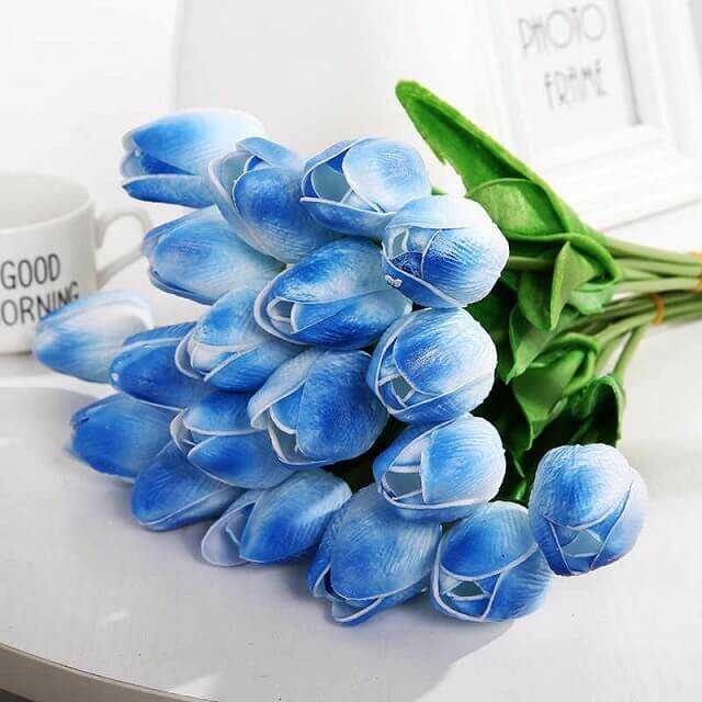 hoa tulip xanh tran