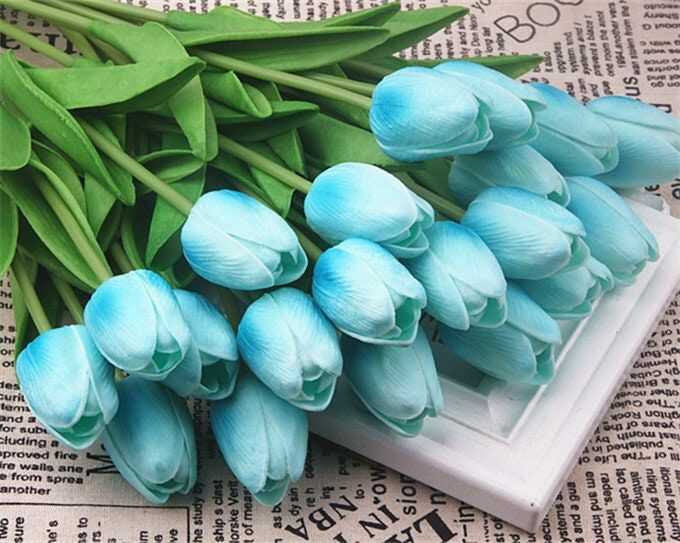 hoa tulip xanh