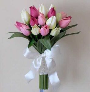 Hoa cưới tulip hồng trắng