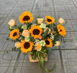 Lẵng hoa hướng dương