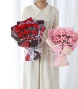 bó hoa cẩm chướng len (1)