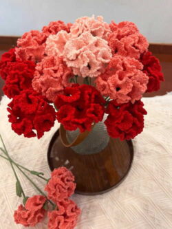 hoa cẩm chướng đỏ