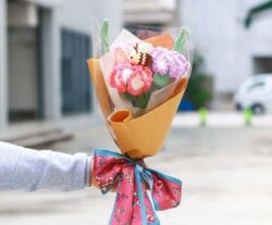 hoa cẩm chướng trắng