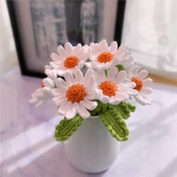 hoa len cúc họa mi (1)