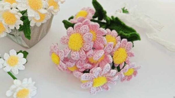 hoa len cúc họa mi (2) hoa len cúc họa mi (2)