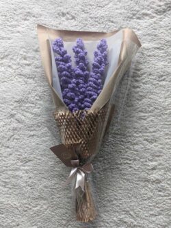 hoa oải hương len (1)