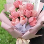 hoa tulip len