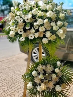 a54d8cfc7dc9f67bd02672134ebd6b06 1 11zon e1734413605763