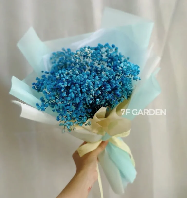 loài hoa tượng trưng cho phụ nữ