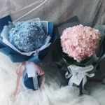 Mua hoa cẩm tú cầu ở tphcm