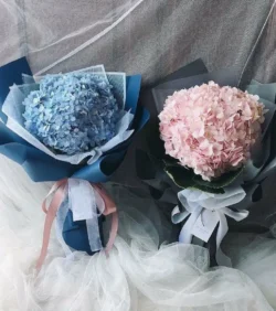 Mua hoa cẩm tú cầu ở tphcm