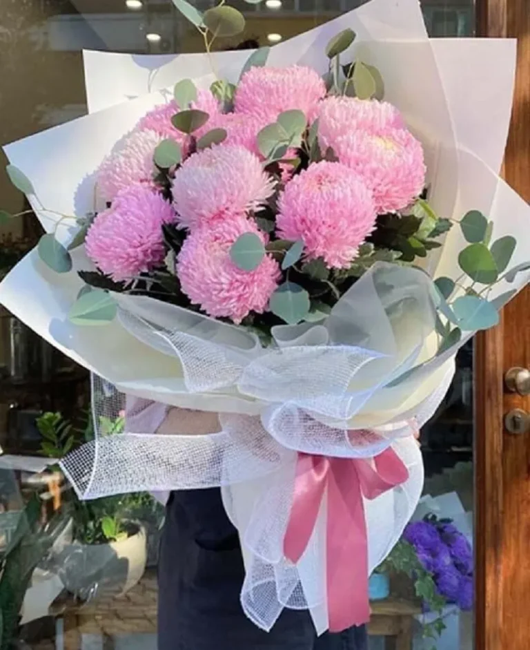 bó hoa cúc mẫu đơn hồng ý nghĩa - 7f garden