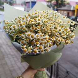 Bó hoa cúc Tana đẹp và tinh tế dành tặng người thân