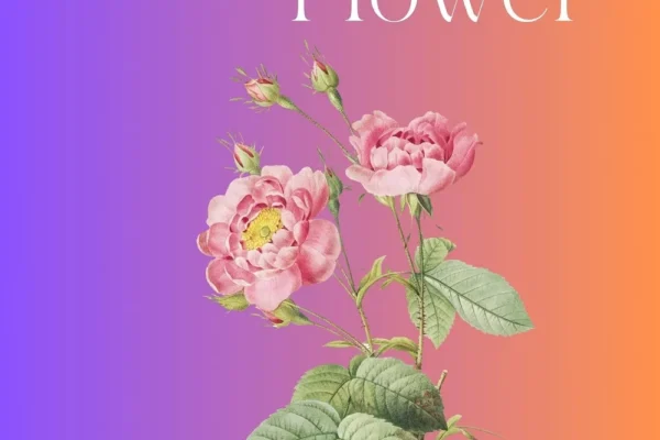 shop hoa tươi bình dương