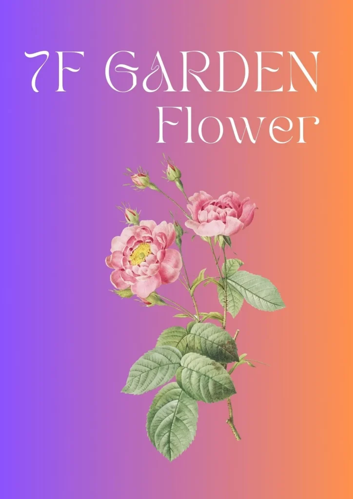 shop hoa tươi bình dương