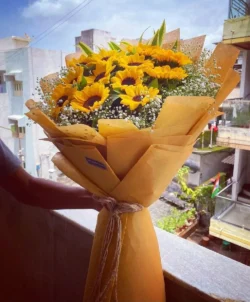 Bó hoa hướng dương 15 bông gói giấy xi măng