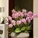 Chậu lan hồ điệp 18 cành hồng - 7F Garden