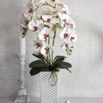 Chậu lan hồ điệp 3 cành trắng - 7F Garden