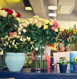 Shop hoa tốt nghiệp 7f garden