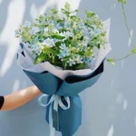 Bó hoa sao xanh đẹp