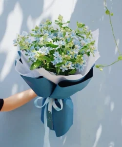 Bó hoa sao xanh đẹp