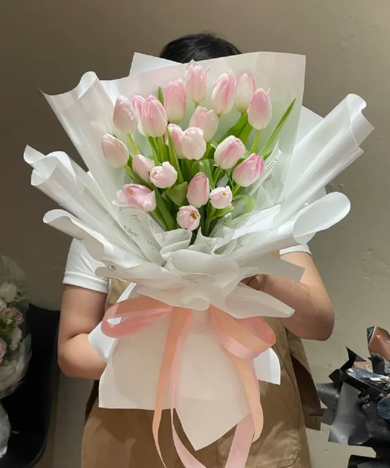 bo hoa tulip 15 bong Bó hoa tulip 15 bông