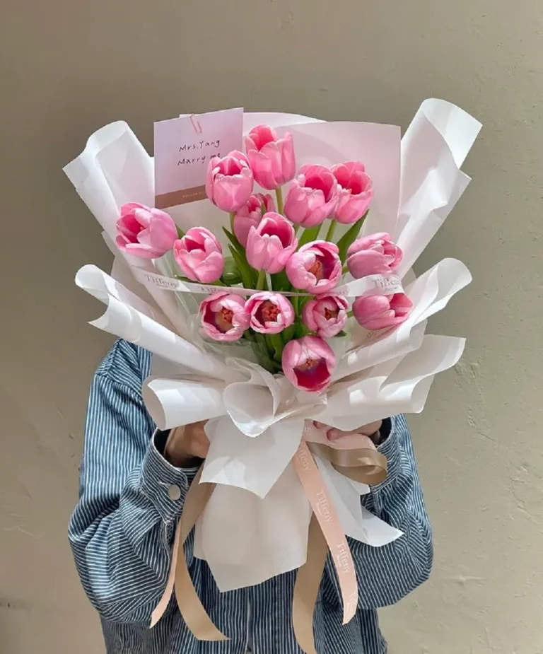 bó hoa tulip 20 bông