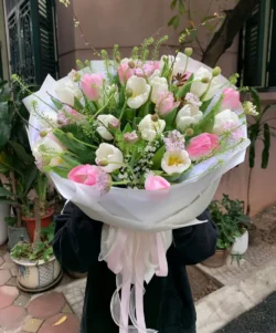mẫu bó hoa tulip 20 bông trắng hồng