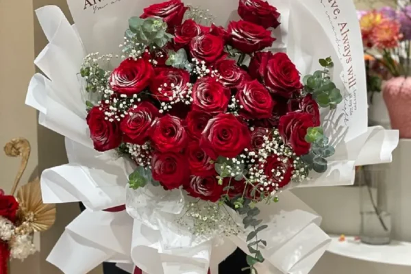 hình ảnh hoa hồng đẹp