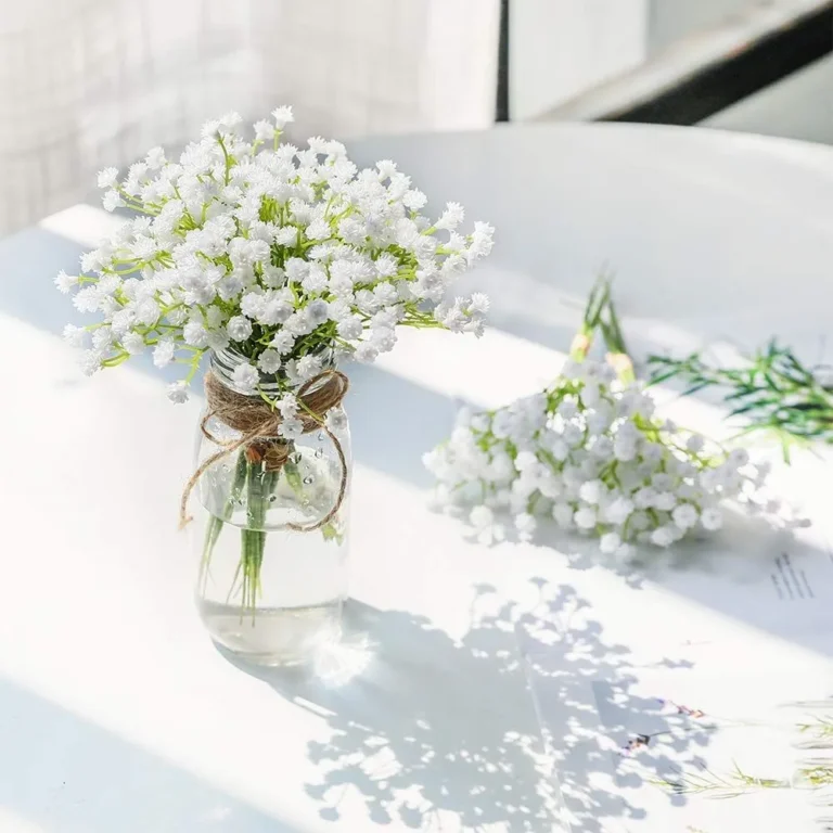 Cách trồng cây hoa baby: chuẩn bị cây giống, hạt và chăm sóc hoa