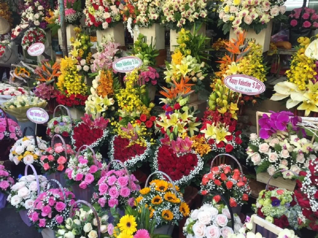 cho hoa ho thi ky 6 kinh nghiệm mua hoa hồ thị kỷ
