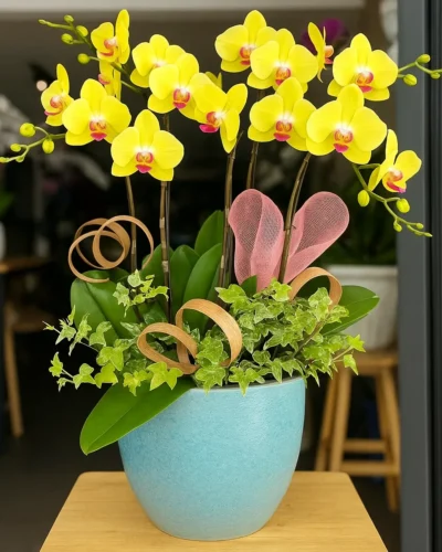 Shop hoa lan hồ điệp HCM giá rẻ nhất