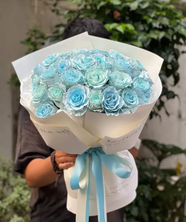 Mua hoa hồng xanh lưu ly