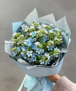 Những bó hoa lam tinh đẹp tại 7F Garden