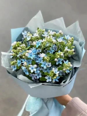 Những bó hoa lam tinh đẹp tại 7F Garden