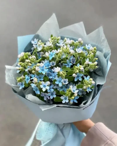 Những bó hoa lam tinh đẹp tại 7F Garden