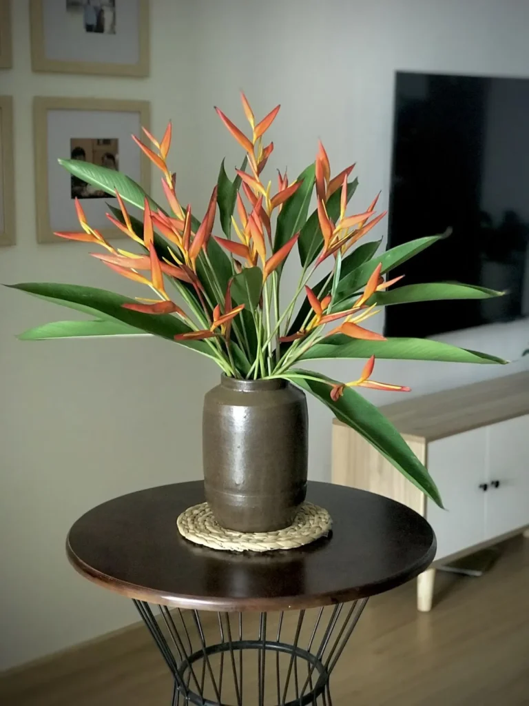 hoa thien dieu gia bao nhieu giá bán hoa thiên điểu