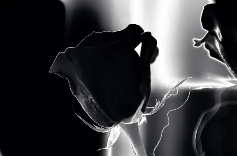 Hoa tượng trưng cho cái chết, mất mát và chia ly tại Việt Nam