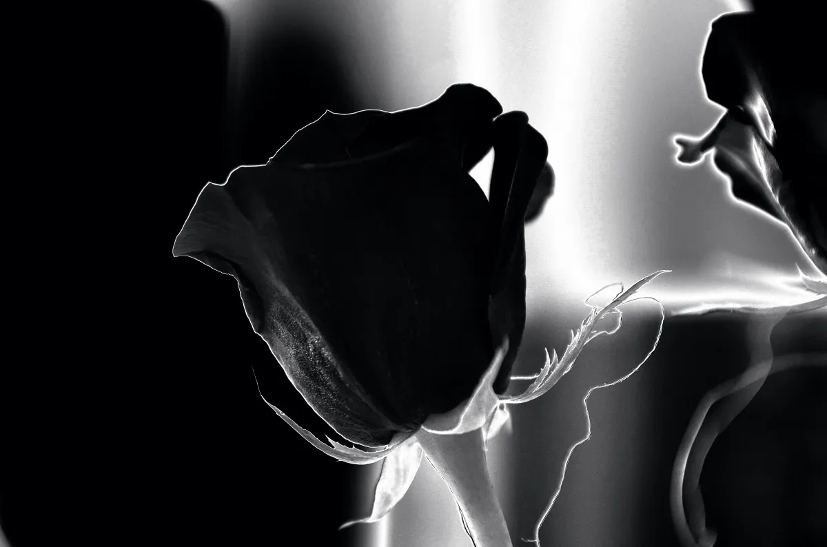 Hoa tượng trưng cho cái chết, mất mát và chia ly tại Việt Nam