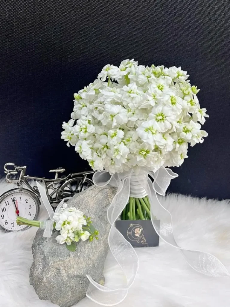 Ý nghĩa hoa phi yến màu trắng