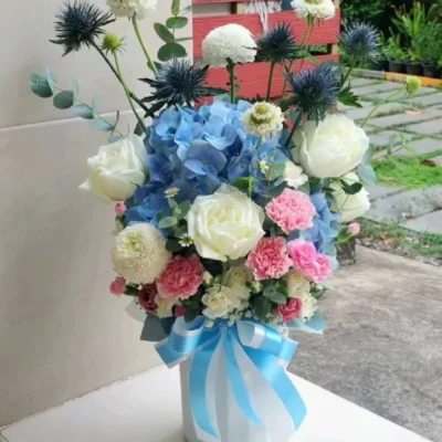 bình hoa tú cầu dương