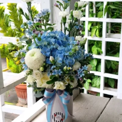 bình hoa cẩm tú cầu