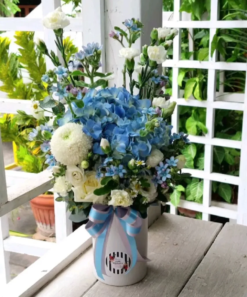 bình hoa cẩm tú cầu