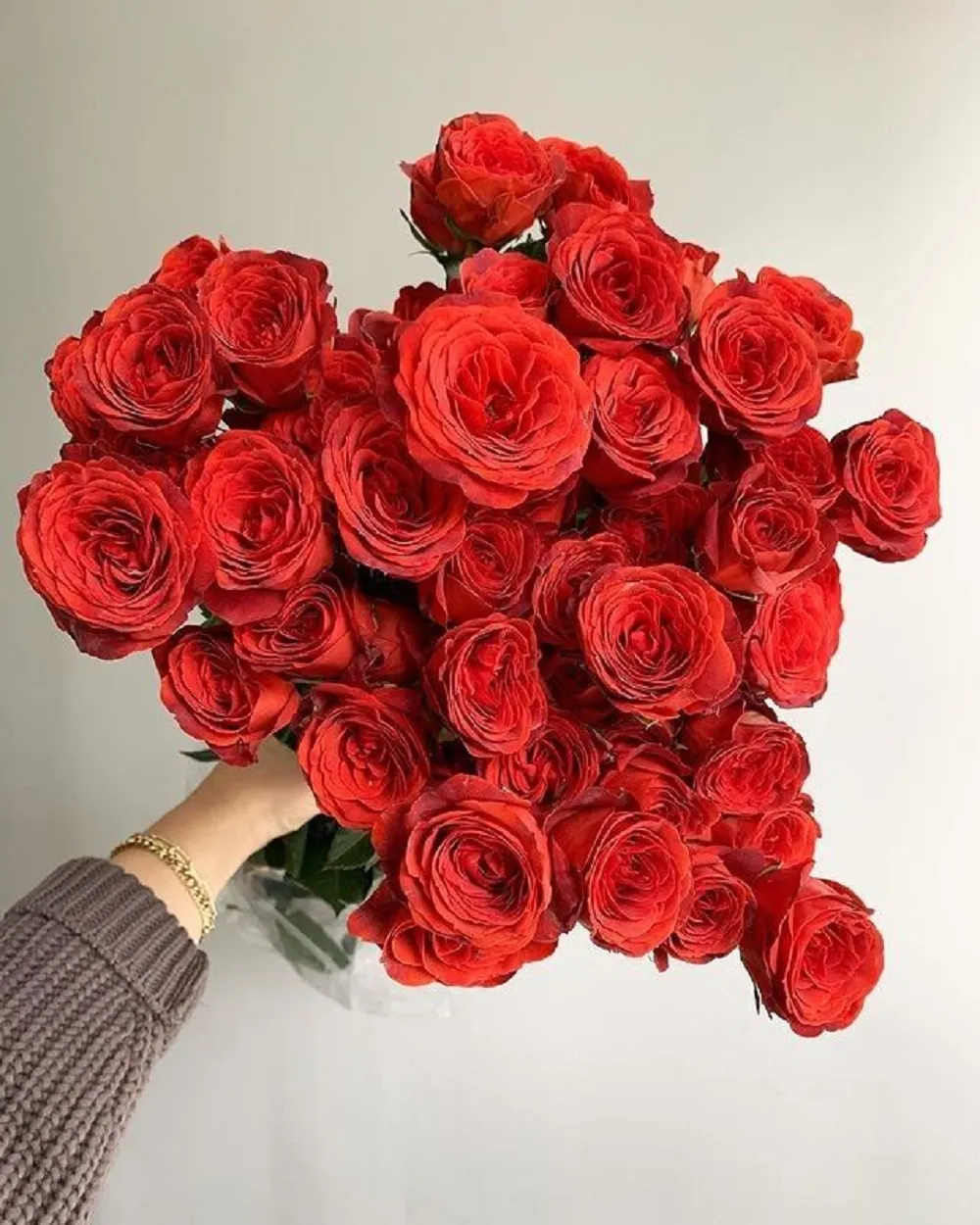 Mẹo để chăm sóc hoa hồng Ohara tươi lâu hơn