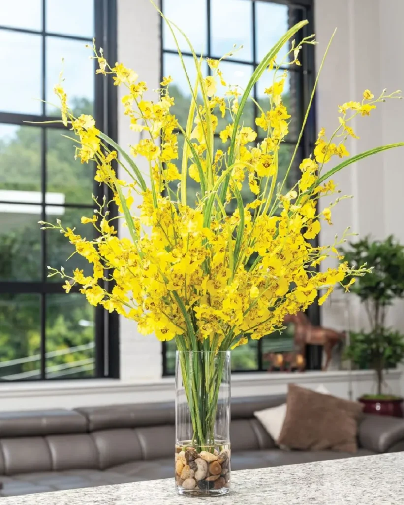 bình chậu hoa lan vũ nữ