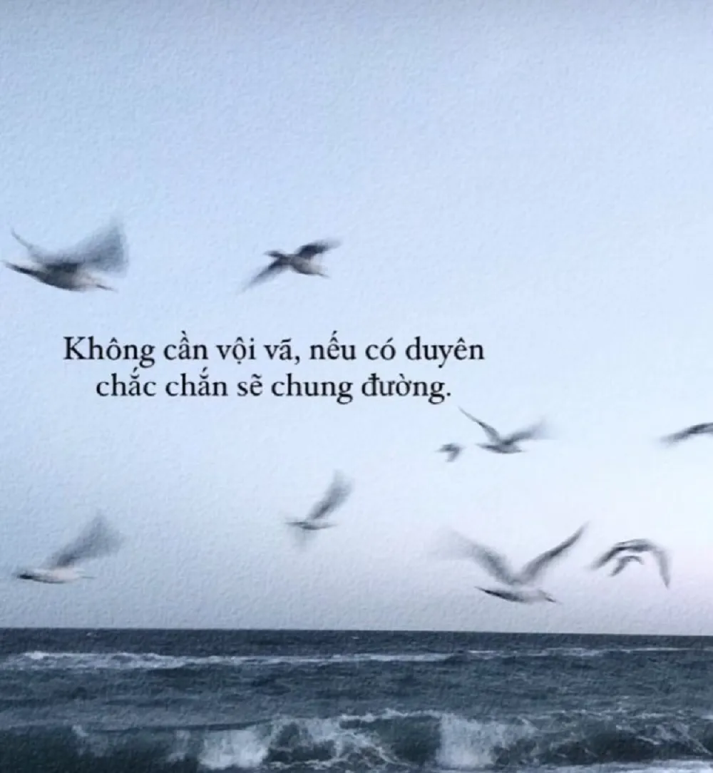 Gợi ý những lời thành kính chia buồn cùng gia đình, chia buồn đám tang ngắn gọn