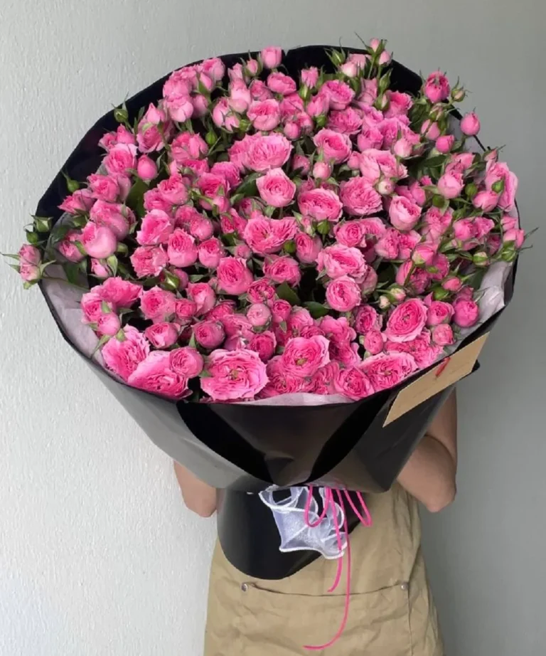 bó hoa hồng sophia ý nghĩa