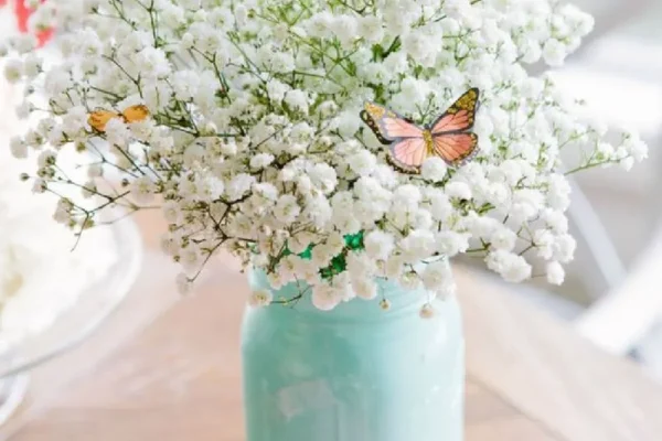 hoa baby là hoa gì